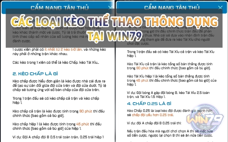 Thể Thao Win79 - Thả ga với hàng trăm trận đấu hấp dẫn 3 Các loại kèo Thể Thao thông dụng tại Win79